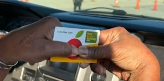 I went from making $200,000 a year to using SNAP. Here’s what I wish people knew about government assistance.