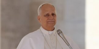 Pope Leo XIV asks the AI industry to ‘cultivate moral discernment’