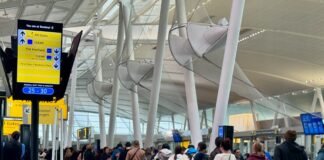 Good news for travelers: Flight cancellations drop as the government reopens