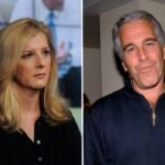 Top Goldman Sachs lawyer asked Jeffrey Epstein for career advice, bashed Trump, private emails show