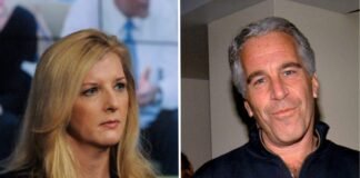 Top Goldman Sachs lawyer asked Jeffrey Epstein for career advice, bashed Trump, private emails show