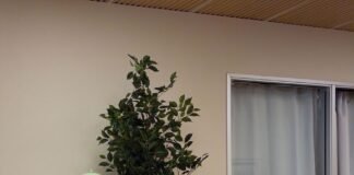 This Home Robot Clears Tables and Loads the Dishwasher All by Itself