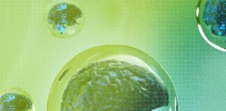 The 4 Things You Need for a Tech Bubble