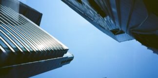 How companies are transforming in the AI era