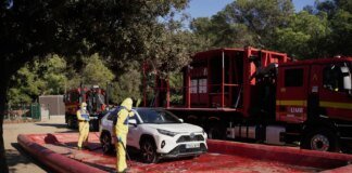 Spain deploys army and drones to fight swine fever: 91 cities locked down due to export threat – Media
