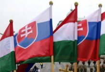 Hungary and Slovakia will challenge the EU's plan to ban Russian gas and oil in the European Court of Justice