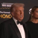 Trump disappointed that Zelenskyy "did not familiarize himself" with the American "peace plan"