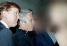 New photos from Epstein's estate featuring Trump released in US