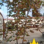 Partisans reconnoitered a key logistics hub of the Black Sea Fleet in Sevastopol