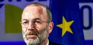 Frozen Russian funds will still be used – Manfred Weber on the future of Russian assets