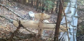 Unknown drone with a parachute found in a forest in Romania
