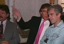 "Flew more often than reported": new Epstein files reveal details of Trump's travels in the 90s