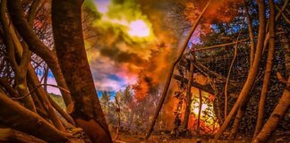 On the front since the beginning of the day – 52 combat engagements: the most intense battles continue in several directions