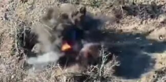 Border guards destroyed a D-30 cannon and enemy electronic warfare system in the Northern Slobozhansky direction
