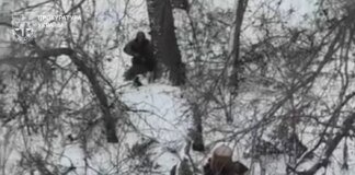 Execution of captured Ukrainian defenders by Russian Armed Forces representatives near Pokrovsk: prosecutor's office announced the start of an investigation