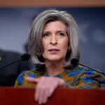 Prosecutors need more time to deal with pandemic fraud. A top senator says Democrats are blocking a bill to give it to them.