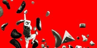 ByteDance and DeepSeek Are Placing Very Different AI Bets