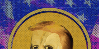 In Cryptoland, Memecoin Fever Gives Way to a Stablecoin Boom