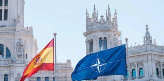 Spain initiates the creation of a joint EU army amid the Greenland crisis