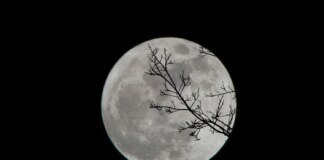 First full moon of 2026 will continue the series of supermoons: when to expect it