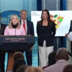 Trump always considers all options: White House spokeswoman on the possibility of using force in Greenland