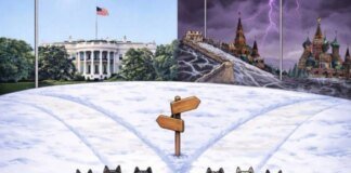 "Which path will you choose?": White House publishes resonant photo about Greenland's future