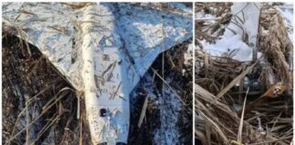 Russian 'Gerbera' drone found in Moldova: Country's Foreign Ministry condemns incident