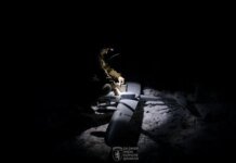 Almost 200 combat engagements took place on the front, the occupiers used 2862 kamikaze drones