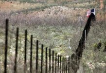 Trump proposes NATO protect US southern border instead of European frontiers