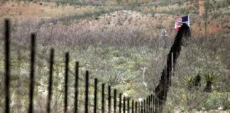 Trump proposes NATO protect US southern border instead of European frontiers