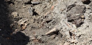 5,500-year-old human remains from Colombia indicate the spread of syphilis from America