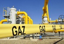 EU to exempt US and Qatar from additional checks under Russian gas ban – Reuters