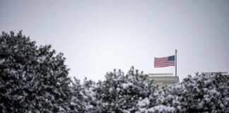 Trump and Senate Democrats strike deal to avoid shutdown