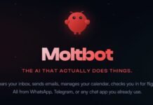 4 things you need to know about Clawdbot (now Moltbot)