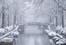 Snow causes 5 days of travel chaos in Amsterdam, with over 2,500 flights canceled and planes left taxiing for hours