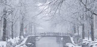 Snow causes 5 days of travel chaos in Amsterdam, with over 2,500 flights canceled and planes left taxiing for hours