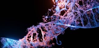 Melbourne researchers use AI to build CRISPR “safety switch” in 8 weeks