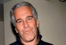 Jeffrey Epstein could have been part of a Russian special services operation – Bild