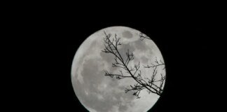 Full Snow Moon in February will light up the sky: when and how to see it