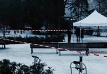 Ukrainian woman found dead in a park in Berlin: murder suspect detained