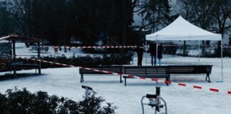 Ukrainian woman found dead in a park in Berlin: murder suspect detained