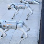 Mexican Police to Use Robot Dogs for Security at 2026 World Cup