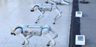 Mexican Police to Use Robot Dogs for Security at 2026 World Cup