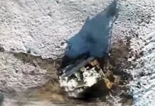 Border guards in the South destroyed an enemy boat and a robotic complex