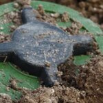 Poland officially withdraws from the Ottawa Convention to deploy its own production of anti-personnel mines