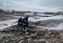 Enemy attacked a farm in Kharkiv region: 100 pigs killed, man injured