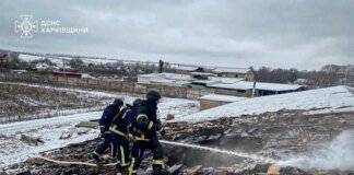 Enemy attacked a farm in Kharkiv region: 100 pigs killed, man injured
