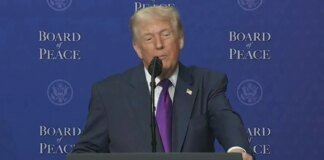 Trump considers 'limited military operation' against Iran – WSJ