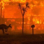 Massive bushfires in Australia force authorities to declare urgent evacuation in one of the states
