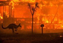 Massive bushfires in Australia force authorities to declare urgent evacuation in one of the states
